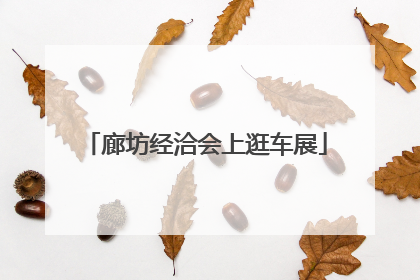 廊坊经洽会上逛车展