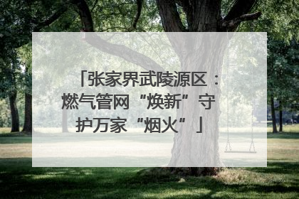 张家界武陵源区：燃气管网“焕新”守护万家“烟火”