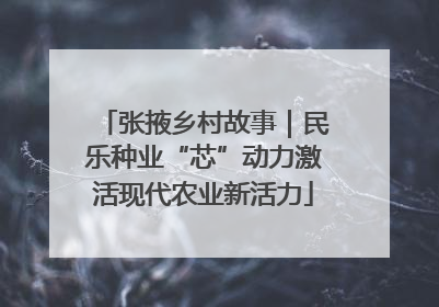 张掖乡村故事｜民乐种业“芯”动力激活现代农业新活力