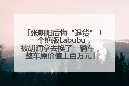 张朝阳后悔“退货”！一个绝版Labubu，被胡润拿去换了一辆车，整车原价值上百万元