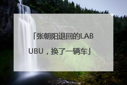 张朝阳退回的LABUBU，换了一辆车