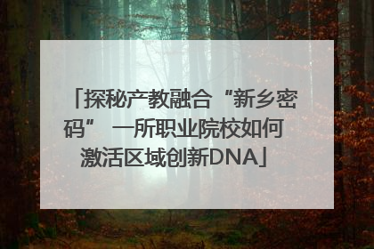 探秘产教融合“新乡密码” 一所职业院校如何激活区域创新DNA
