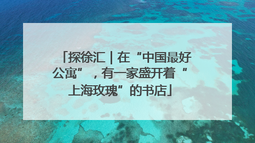 探徐汇｜在“中国最好公寓”，有一家盛开着“上海玫瑰”的书店
