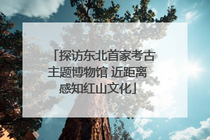 探访东北首家考古主题博物馆 近距离感知红山文化