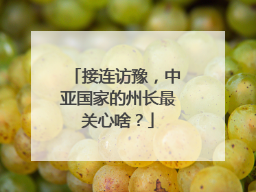 接连访豫，中亚国家的州长最关心啥？
