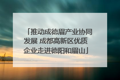 推动成德眉产业协同发展 成都高新区优质企业走进德阳和眉山