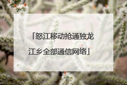 怒江移动抢通独龙江乡全部通信网络