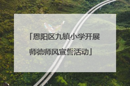 恩阳区九镇小学开展师德师风宣誓活动