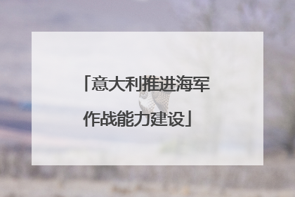 意大利推进海军作战能力建设