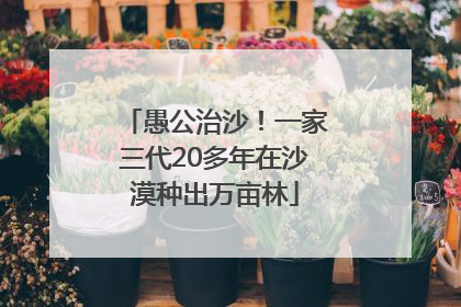 愚公治沙！一家三代20多年在沙漠种出万亩林