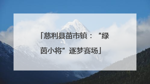 慈利县苗市镇：“绿茵小将”逐梦赛场
