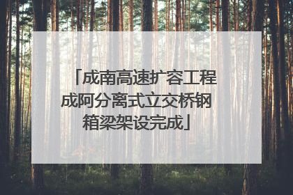成南高速扩容工程成阿分离式立交桥钢箱梁架设完成