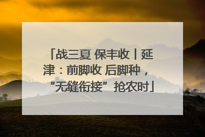 战三夏 保丰收丨延津：前脚收 后脚种，“无缝衔接”抢农时