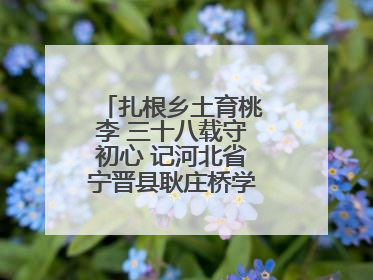扎根乡土育桃李 三十八载守初心 记河北省宁晋县耿庄桥学区教师张志涛