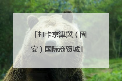 打卡京津冀（固安）国际商贸城