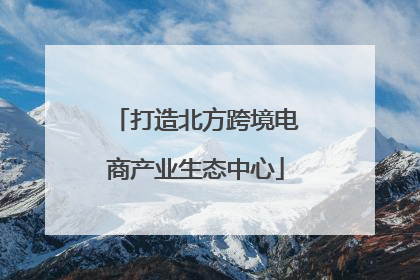 打造北方跨境电商产业生态中心