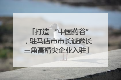 打造 “中国药谷”，驻马店市市长诚邀长三角高精尖企业入驻