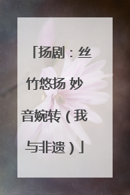 扬剧：丝竹悠扬 妙音婉转（我与非遗）