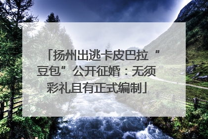 扬州出逃卡皮巴拉“豆包”公开征婚：无须彩礼且有正式编制