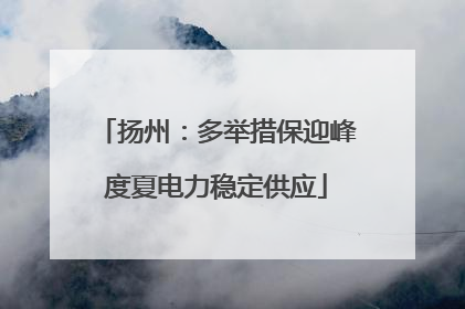 扬州：多举措保迎峰度夏电力稳定供应
