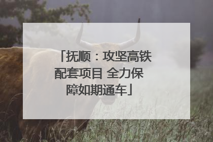 抚顺：攻坚高铁配套项目 全力保障如期通车
