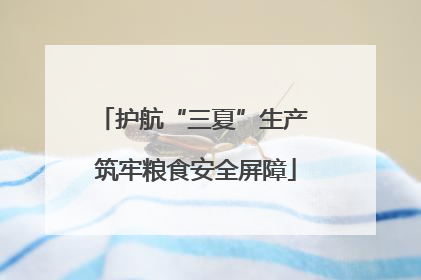 护航“三夏”生产 筑牢粮食安全屏障