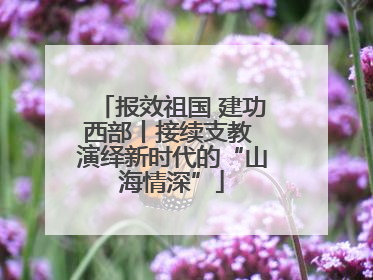 报效祖国 建功西部丨接续支教 演绎新时代的“山海情深”