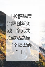 拉萨基层治理创新实践：多元共治激活高原“幸福密码”