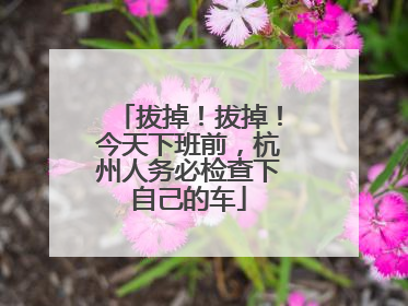 拔掉！拔掉！今天下班前，杭州人务必检查下自己的车