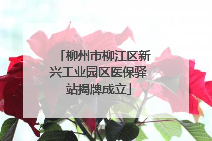 柳州市柳江区新兴工业园区医保驿站揭牌成立