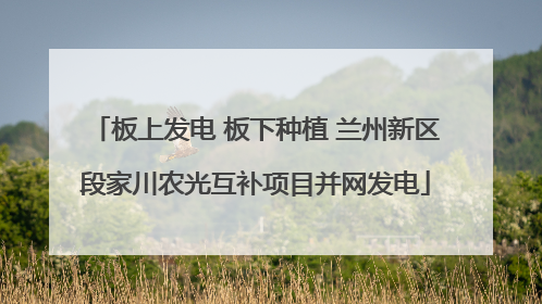 板上发电 板下种植 兰州新区段家川农光互补项目并网发电
