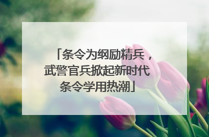 条令为纲励精兵，武警官兵掀起新时代条令学用热潮