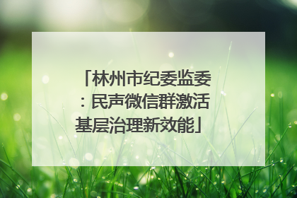 林州市纪委监委：民声微信群激活基层治理新效能
