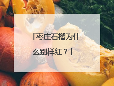枣庄石榴为什么别样红？