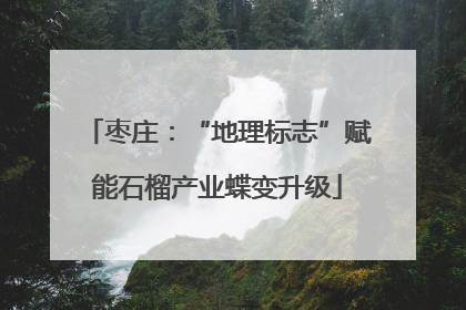 枣庄：“地理标志”赋能石榴产业蝶变升级