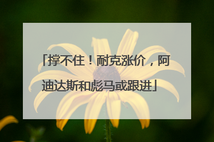 撑不住！耐克涨价，阿迪达斯和彪马或跟进