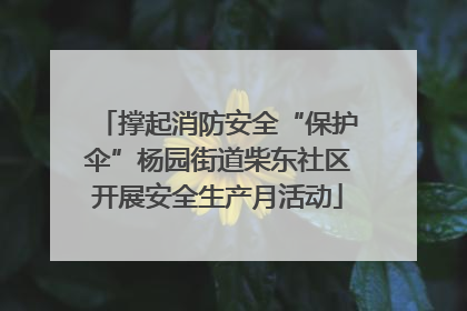 撑起消防安全“保护伞”杨园街道柴东社区开展安全生产月活动