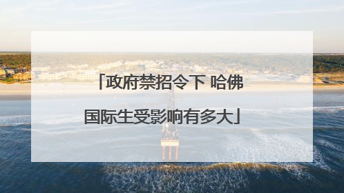 政府禁招令下 哈佛国际生受影响有多大