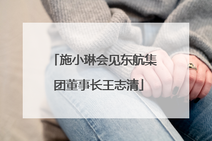 施小琳会见东航集团董事长王志清