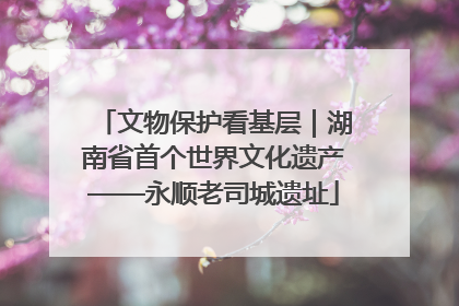 文物保护看基层｜湖南省首个世界文化遗产——永顺老司城遗址
