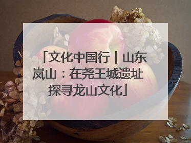 文化中国行｜山东岚山：在尧王城遗址探寻龙山文化