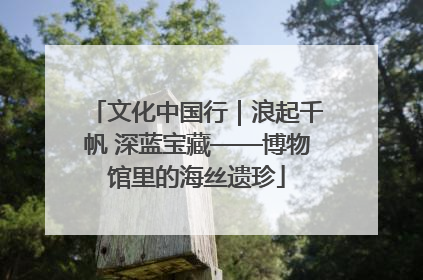 文化中国行｜浪起千帆 深蓝宝藏——博物馆里的海丝遗珍