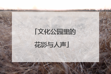 文化公园里的花影与人声