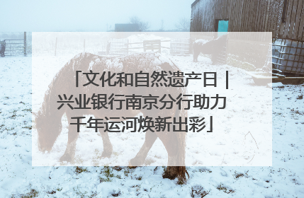 文化和自然遗产日｜兴业银行南京分行助力千年运河焕新出彩