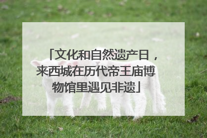 文化和自然遗产日，来西城在历代帝王庙博物馆里遇见非遗