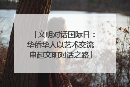 文明对话国际日：华侨华人以艺术交流串起文明对话之路