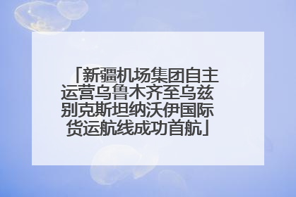 新疆机场集团自主运营乌鲁木齐至乌兹别克斯坦纳沃伊国际货运航线成功首航