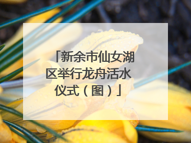 新余市仙女湖区举行龙舟活水仪式（图）