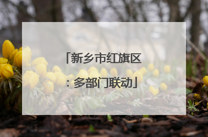 新乡市红旗区：多部门联动