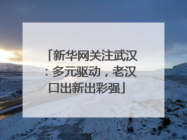 新华网关注武汉：多元驱动，老汉口出新出彩强